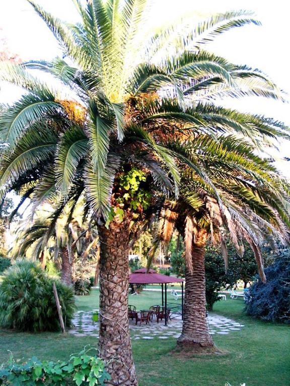Hotel Parco Dei Principi آنسيو الغرفة الصورة